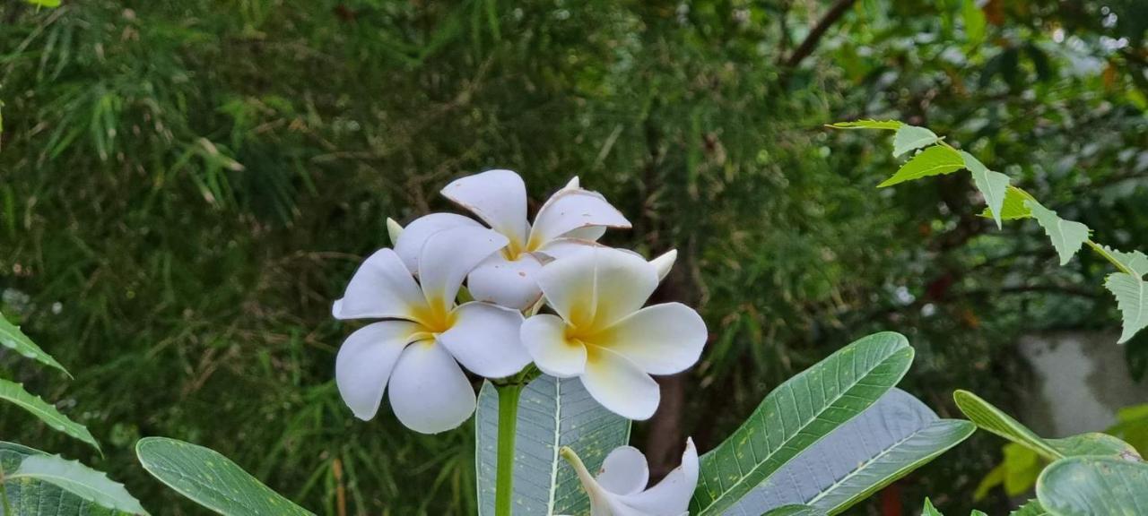 Sriyan Villa Beruwala Bagian luar foto
