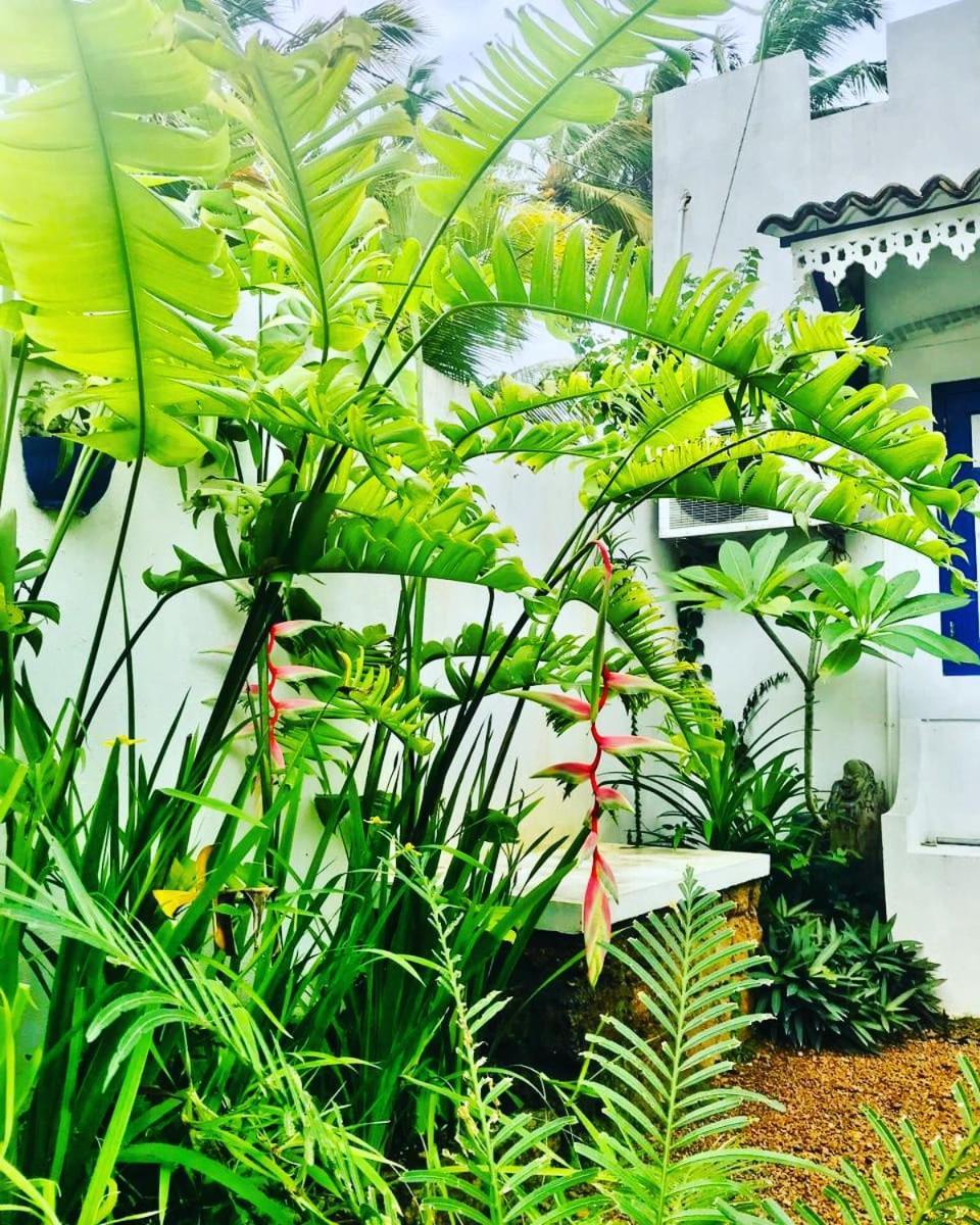 Sriyan Villa Beruwala Bagian luar foto